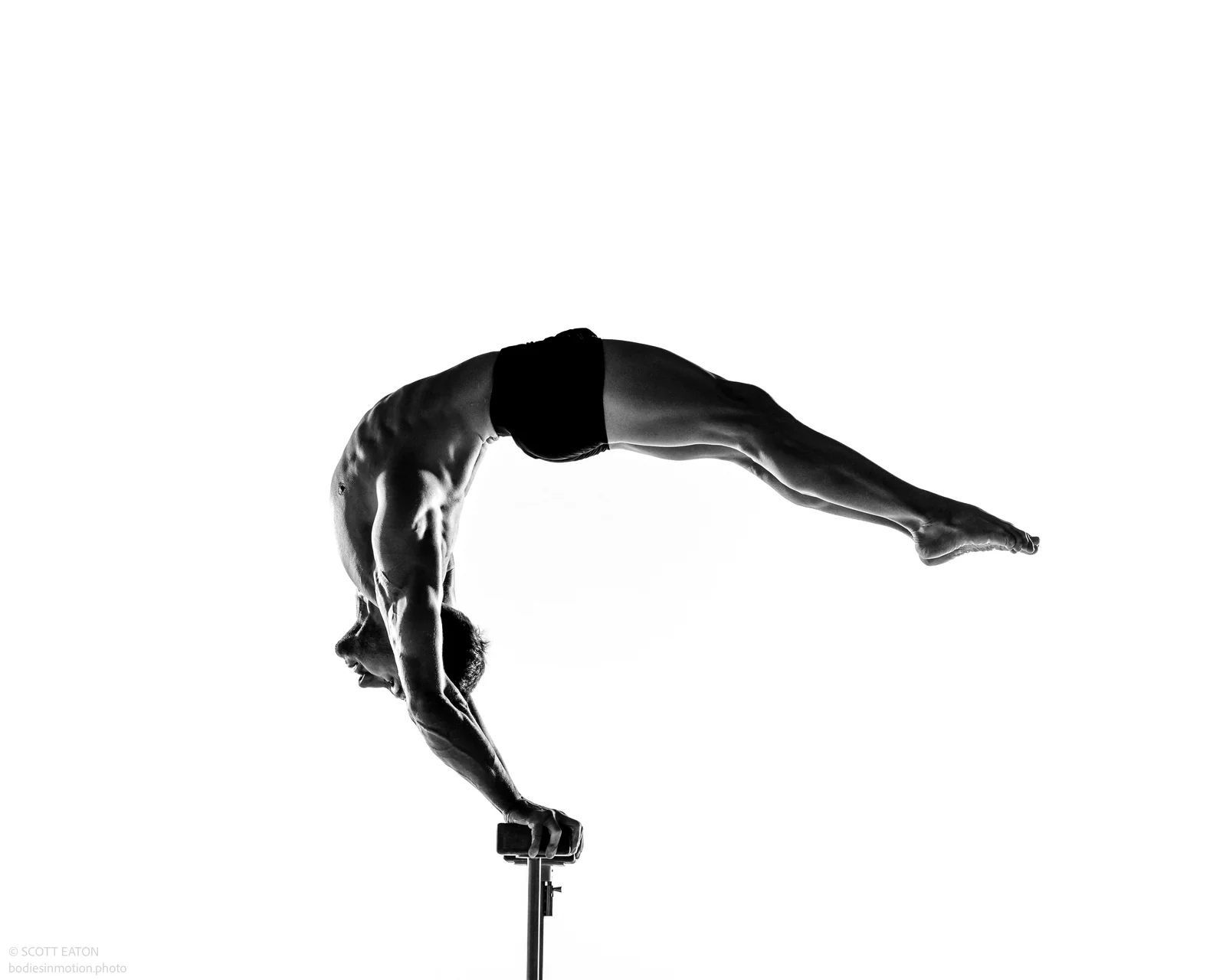 Ab Workout / Calisthenics Abs